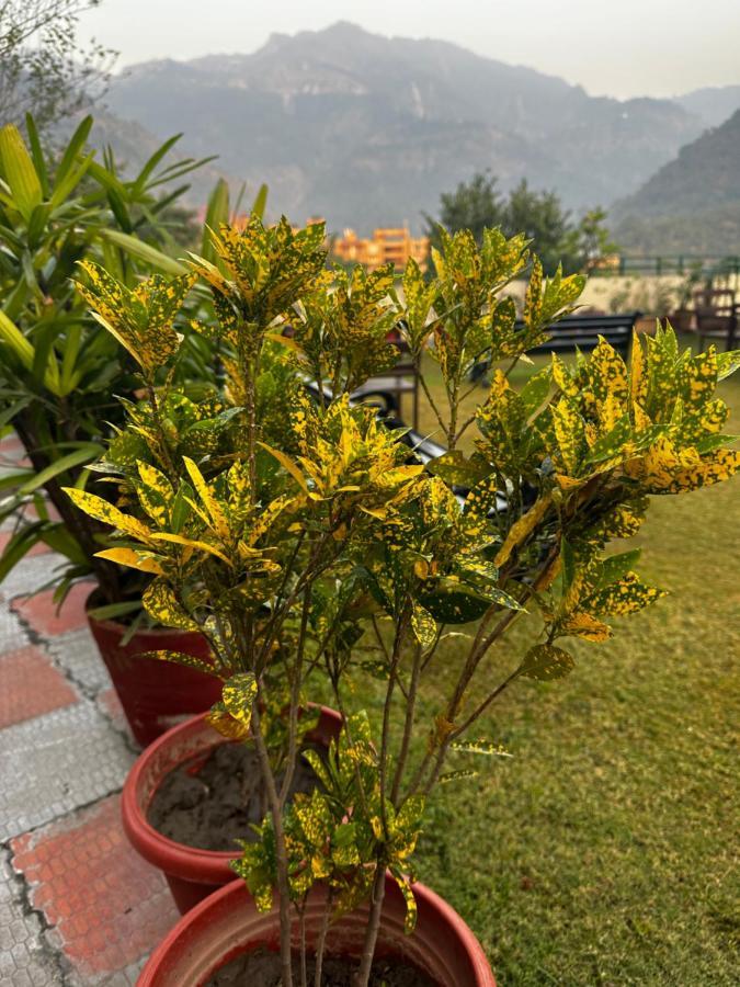 Hotel Dewa Retreat- A Himalayan Boutique Hotel Рішикеш Екстер'єр фото
