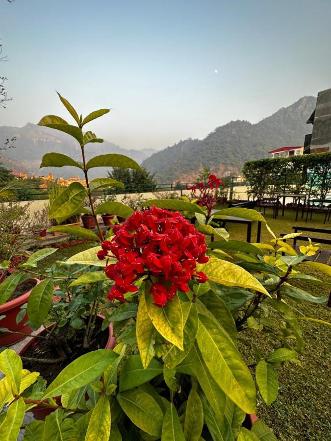 Hotel Dewa Retreat- A Himalayan Boutique Hotel Рішикеш Екстер'єр фото